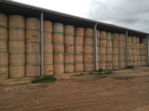 Chaff Quality Oaten Hay Rolls