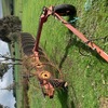 9 Wheel In Line Hydraulic Hay Rake