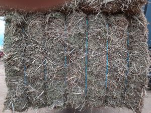 Vetch Hay 590kg 8x4x3 Bales (New Season)