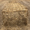 Canola Straw Bales 8x4x3
