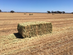 500mt Oaten Hay 700kg 8x4x3 Bales