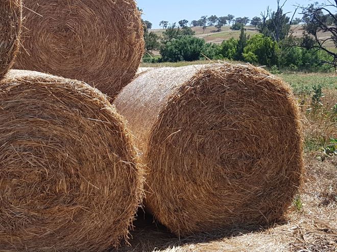 Prime Oaten Pasture Hay
