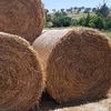 Prime Oaten Pasture Hay