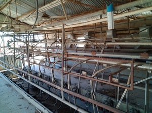 Dairy Complete 