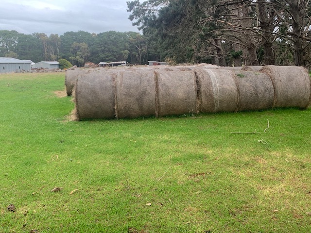 Pasture Hay 5 * 4 Round Bales