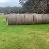 Pasture Hay 5 * 4 Round Bales
