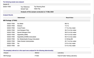 300mt Oaten Hay 600kg 8x4x3 Bales