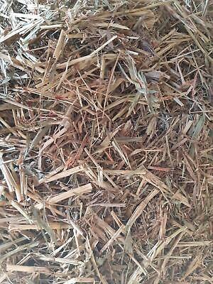 4 x 4 Sorghum Round bales 