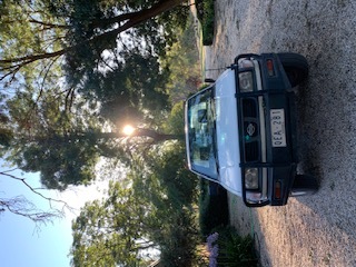 Nissan Navara D22 (yr 2000)