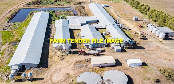 WANTED Piggery Equipment