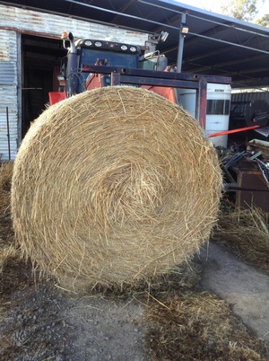 Hay oaten/rye Rolls 5x4