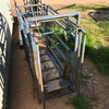 **REDUCED**Tru-Test Sheep Weigh Crate and indicator