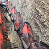 Kuhn FC 3560 TCD Mower Conditioner