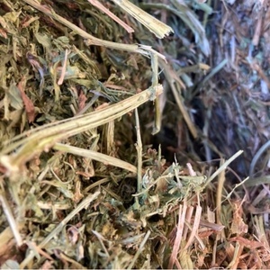 Vetch  Hay