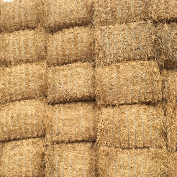 Barley straw
