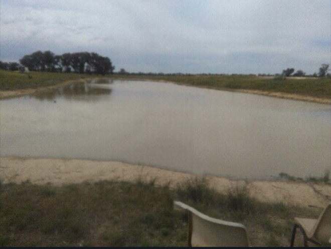 Agistment available 80 acres Dadswells Bridge