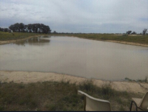 Agistment available 80 acres Dadswells Bridge