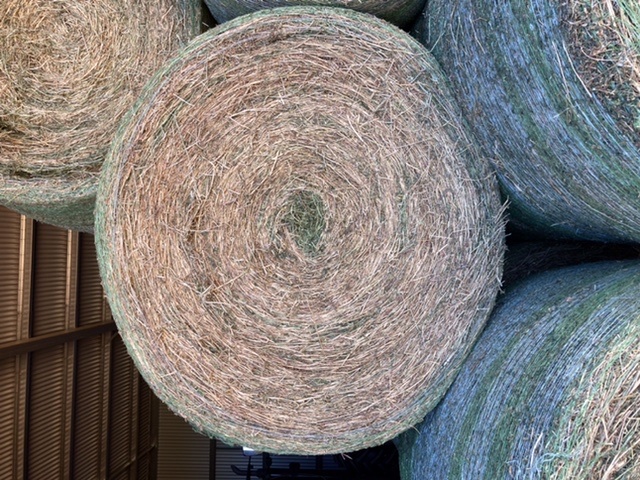 Organic Lucerne Hay