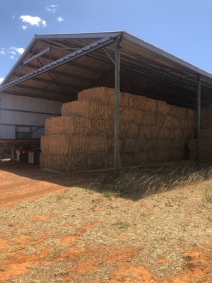 300 x Wheaten Hay 8x4x3 Bales