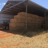 300 x Wheaten Hay 8x4x3 Bales