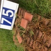 Under Auction (A129) - Approx. 200 Red Pavers