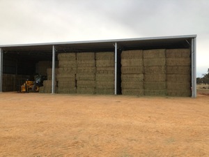 Shedded New Season's Vetch Hay For Sale in 8x4x3's