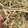 Barley Hay 8x4x3 - 460 x 750 KG Approx Bales