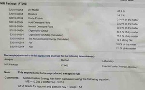 A1 Vetch Hay For Sale