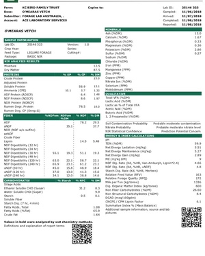Vetch Hay 650kg approx. 8x4x3 Bales 