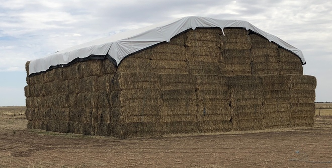 Barley Hay 8x4x3 - 460 x 750 KG Approx Bales
