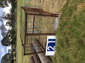 (A129) - Calf Crate 7 Ft x 5 Ft 6 inches