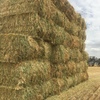 Oaten Hay For Sale in 8x4x3's
