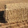 8x4x3 barley straw bales
