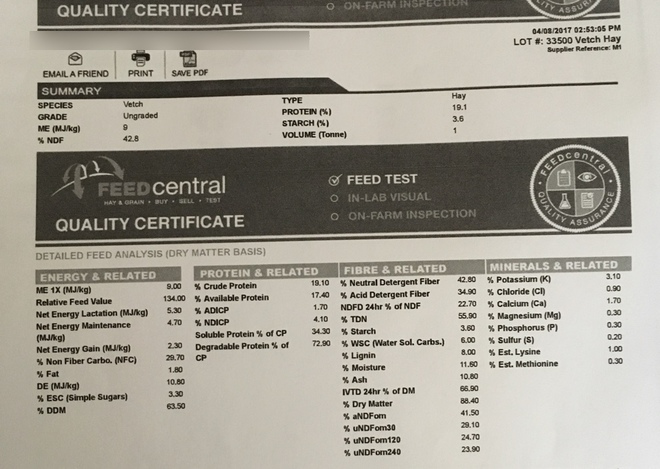 25mt Vetch Hay 500-550kg 8x4x3 Bales (1 x Single Load)