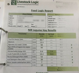 Vetch Hay 8x4x3 - 1 x B/Double Load x 525 KG Approx Bales & Shedded
