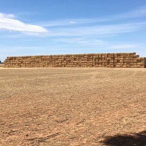 Barley/Wheaten Straw