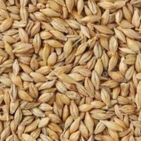 300mt Organic Barley 