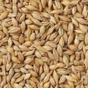 300mt Organic Barley