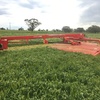 1372 Massey Heston Mower Conditioner 