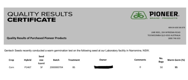 P1467 MAIZE SEED BAGS