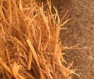 250mt Cereal Straw 8x4x3 (approx. 380-430kg bale)