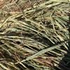 400mt Oaten Hay 660kg 8x4x3 Bales