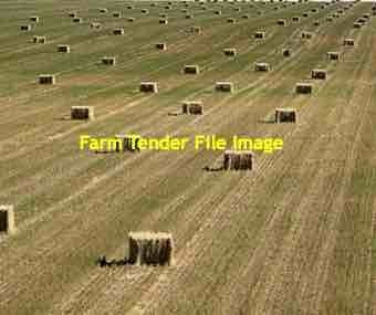 Oaten Straw . EOI Baling next week
