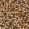 Faba Beans etc ****Price Reduction****