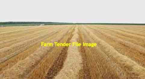 Paddocks of Cereal / Vetch / Clover