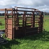 Cattle crush with Vet Door