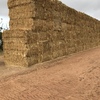 200mt Barley Hay 650-700kg 8x4x3 Bales