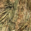 100mt Oaten Hay 650kg 8x4x3 Bales