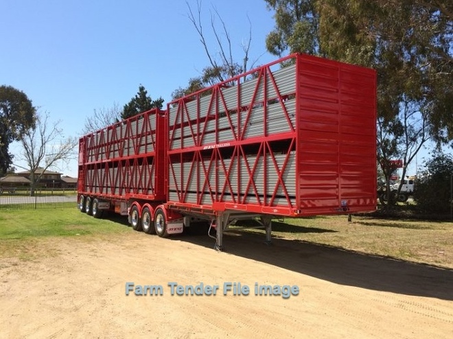 B Double Stock Crate  for Cattle