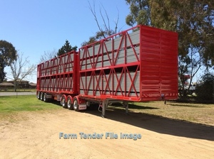 B Double Stock Crate  for Cattle